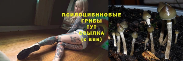 гидропоника Верхнеуральск