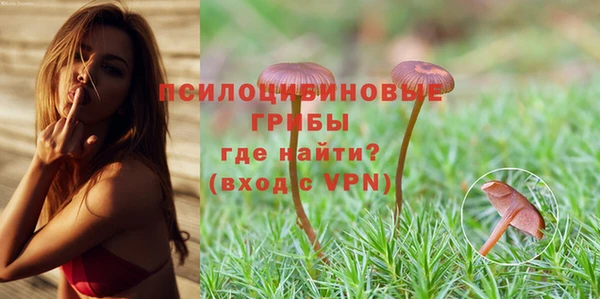 гидропоника Верхнеуральск
